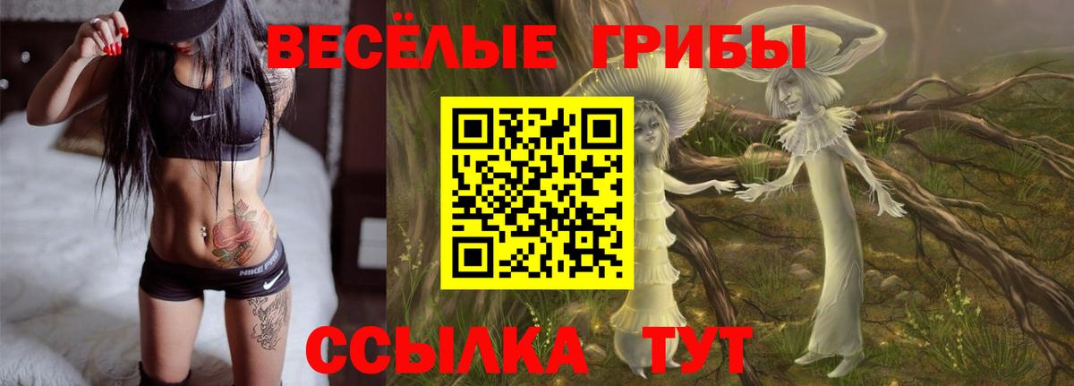 Галлюциногенные грибы Cubensis  Вход с VPN  Волжский 